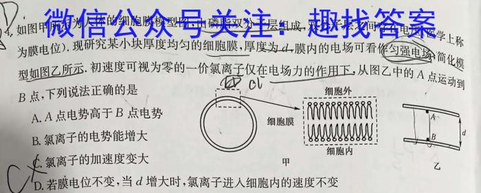 衡水金卷先享题答案免费查询夯基卷答案物理试卷答案