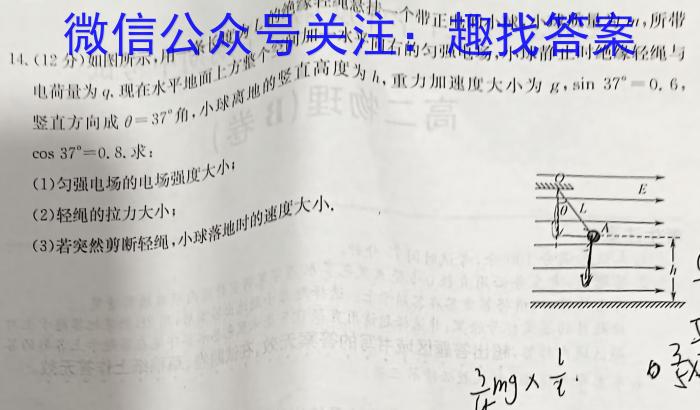 安徽省六安皋城中学2024届初三阶段性目标检测（四）物理试卷答案