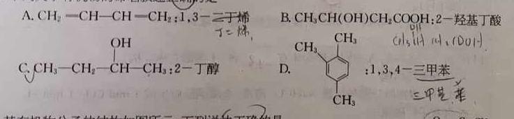 1河北省24届九校联盟高三期中(24-136C)化学试卷答案