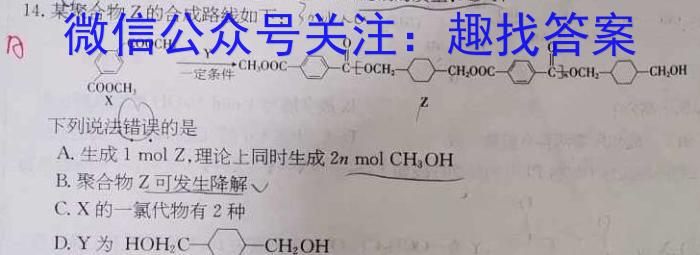 q天一大联考 2023-2024学年(上)高二期中考试化学