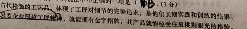 安徽省2024届九年级阶段诊断（三）语文试卷 答案
