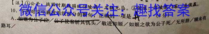 河北省2023-2024学年六校联盟高二年级期中联考(242258D)/语文