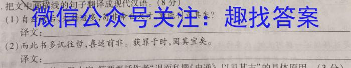 安徽省六安皋城中学2024届初三阶段性目标检测（四）/语文