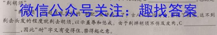 河北省石家庄市赵县2023-2024学年度第一学期期中学业质量检测八年级语文