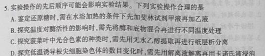 2024年普通高等学校全国统一模拟招生考试新未来高三11月联考生物学试题答案