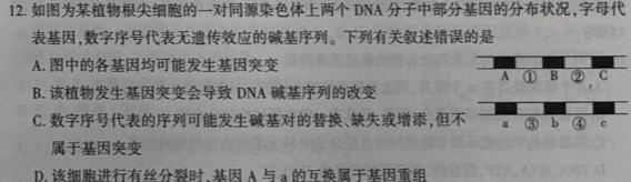 安徽省2023-2024学年八年级上学期教学质量调研(12月)生物学试题答案