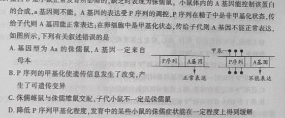 1号卷 A10联盟2023级高一上学期11月期中考生物学试题答案