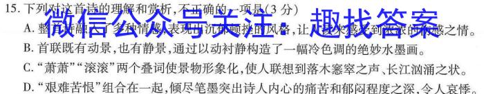 陕西省2023-2024学年度第一学期九年级期末调研试题（卷）A/语文