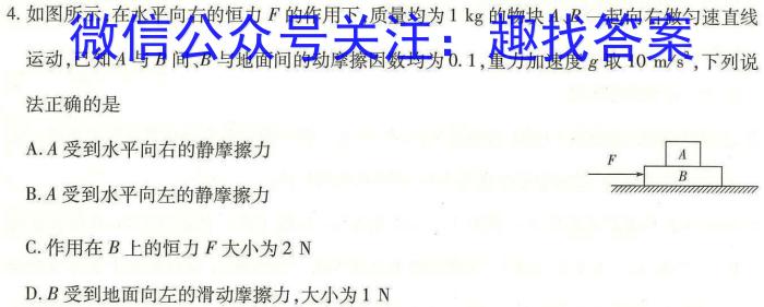 河北省2023-2024学年度第一学期八年级期中质量监测f物理