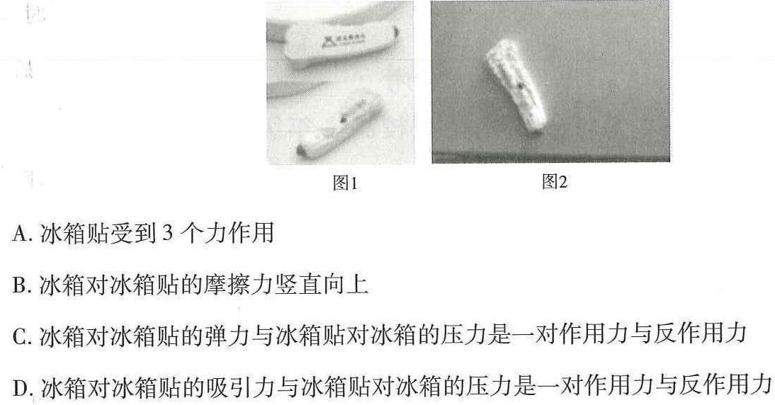 2023-2024学年四川省高一12月联考(24-202A)物理试题.