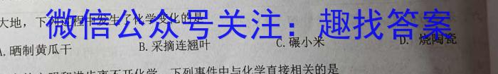 q贵州金卷 贵州省普通中学2023-2024学年度八年级第一学期质量测评(二)化学