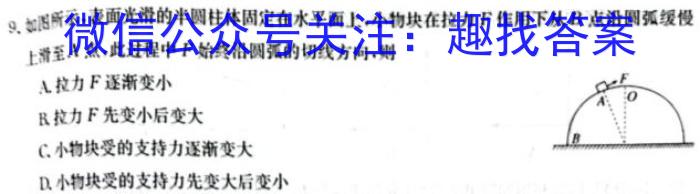 河北省2023-2024学年六校联盟高一年级期中联考（241258D）q物理