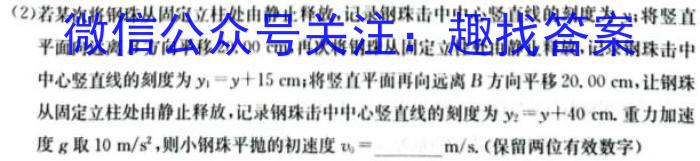 金考卷 百校联盟(新高考卷)2024年普通高等学校招生全国统一考试 领航卷(九)l物理