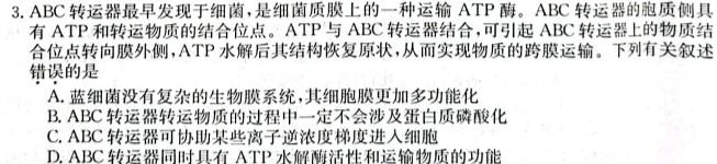 山东普高大联考高二11月联合质量测评生物学试题答案