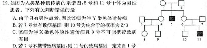 ［河南大联考］河南省2024届高三11月联考生物学试题答案