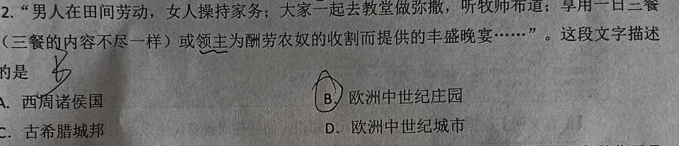 2024年普通高等学校全国统一模拟招生考试 金科 新未来11月联考历史