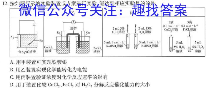 q河南省信阳市2025届八年级质量调研（期中考试）化学