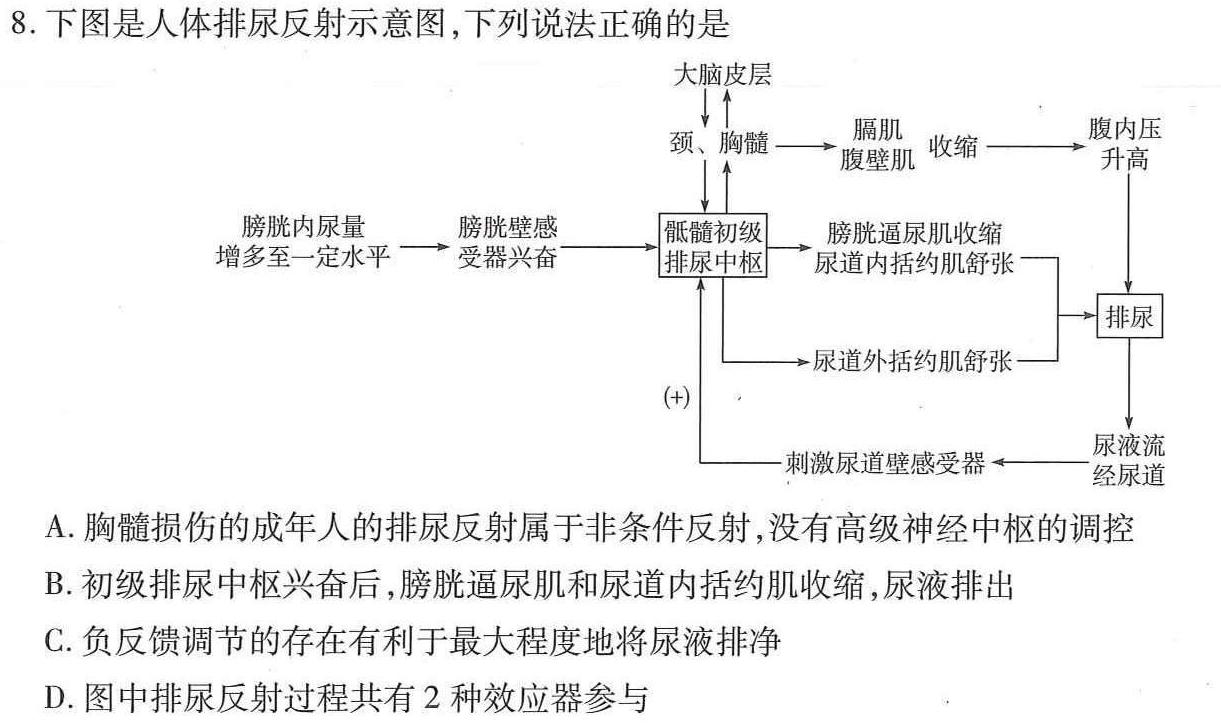 辽宁省2023-2024学年度高三上学期12月月考生物学试题答案