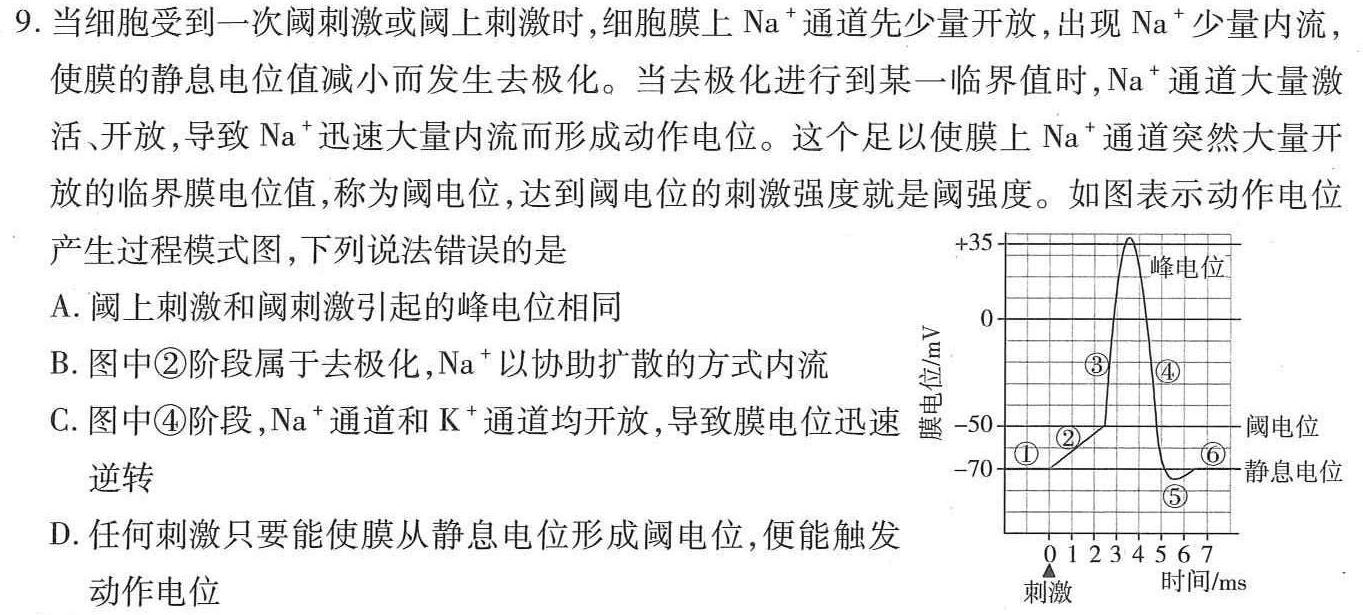 全国名校大联考·2023~2024学年高三第四次联考(月考)老高考生物学试题答案