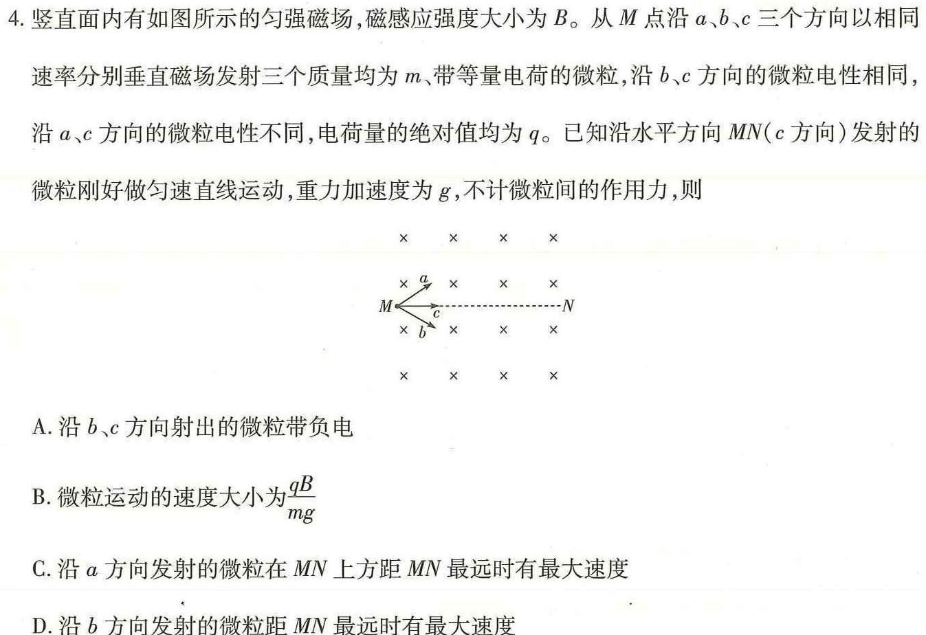 陕西省2025届高二12月联考物理试题.