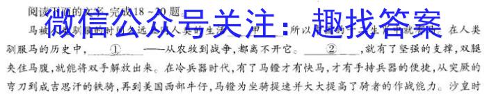 河北省2023-2024学年第一学期九年级期末教学质量检测/语文