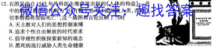 2024届高三百万联考11月联考历史试卷