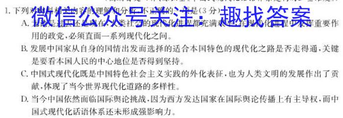 陕西省2023-2024学年度第一学期九年级课后综合作业（三）D/语文