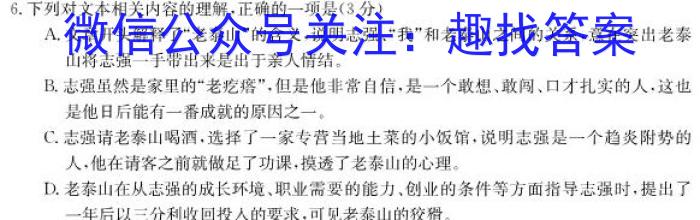 陕西省2024届九年级教学素养测评（三）A语文