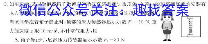 安徽省2024届九年级核心素养评估(二)物理`