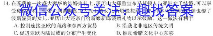 衡水金卷先享题答案免费查询夯基卷答案历史