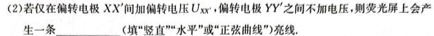 [今日更新]九师联盟 2024届高三12月质量检测L.物理试卷答案