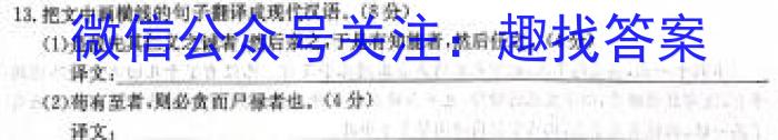 安徽省2024届九年级阶段诊断（三）语文