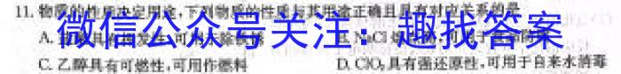 q安徽省2023-2024学年度七年级阶段诊断（三）化学