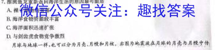 2024届普通高校招生全国统一考试 NT精准模拟卷(三)3地理试卷答案