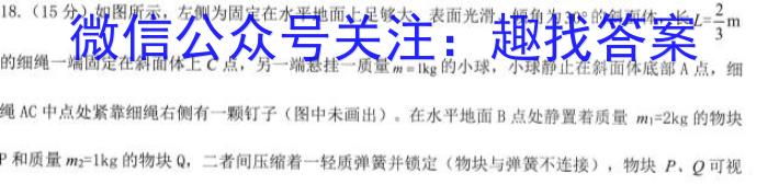 石室金匮 成都石室中学2023-2024学年度上期高2024届11月半期考试l物理