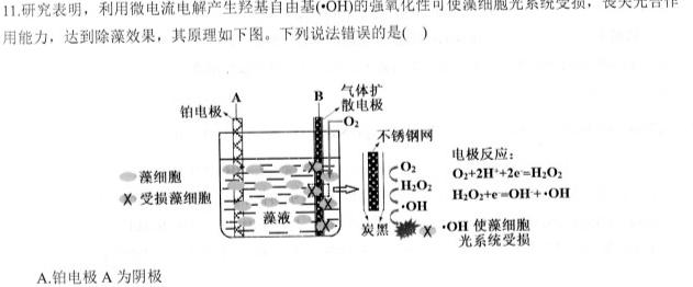 1湖南省2024届高三11月质量检测试题化学试卷答案