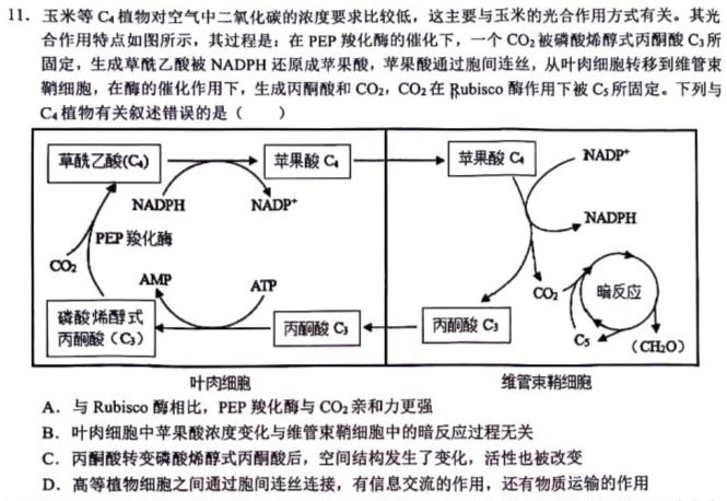 河南省2023-2024学年度高二年级12月八校联考生物学部分