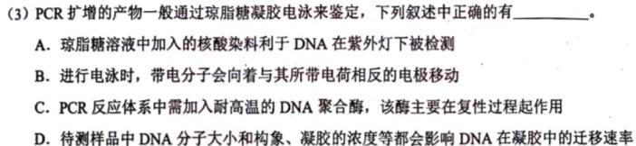 2023-2024学年度高中同步月考测试卷（三）新教材·高二生物学试题答案