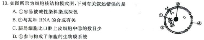 陕西省2023-2024学年度第一学期九年级课后综合作业（三）D生物学部分