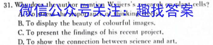湖南省三湘名校教育联盟2023-2024学年高二年级11月联考英语
