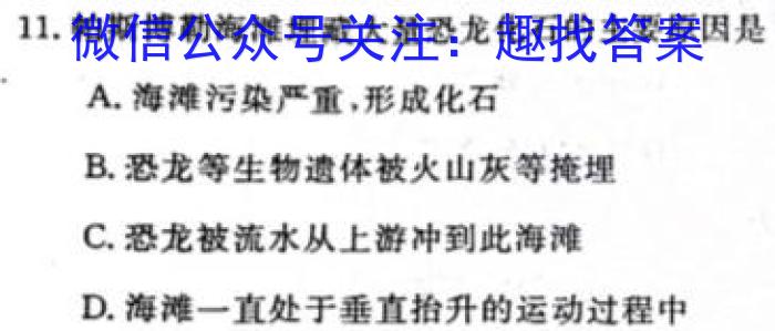 2024届NT普通高等学校招生全国统一考试模拟押题试卷(二)2地理试卷答案