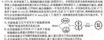 安徽省2023~2024学年度届九年级阶段诊断 R-PGZX F-AH(三)3生物学试题答案