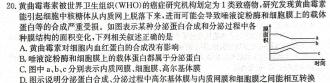 江西省上饶市民校考试联盟2023-2024年度上学期阶段测试（高三）生物学试题答案