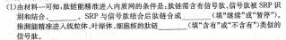 重庆市九校联盟2023-2024学年高二年级上学期12月联考生物学试题答案