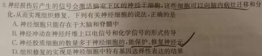 百师联盟·山西省2023-2024学年度高一年级上学期阶段测试卷（二）生物学试题答案