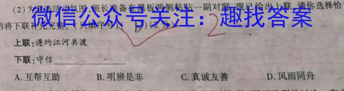 2024届普通高等学校招生统一考试青桐鸣高三12月大联考语文