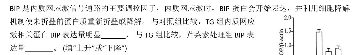 河北省2023-2024学年六校联盟高一年级期中联考（241258D）生物