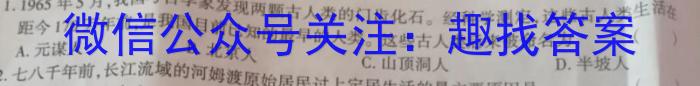 安徽省十联考 合肥一中2024届高三第二次教学质量检测(243174D)历史试卷