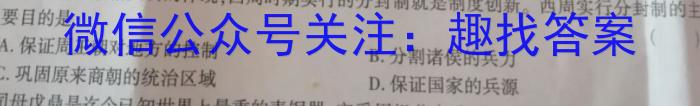 2023-2024学年安徽省九年级教学质量检测（三）历史