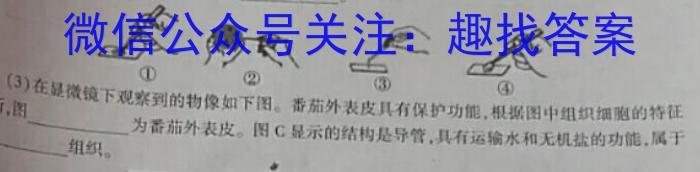 九师联盟 2024届高三12月质量检测X生物学试题答案